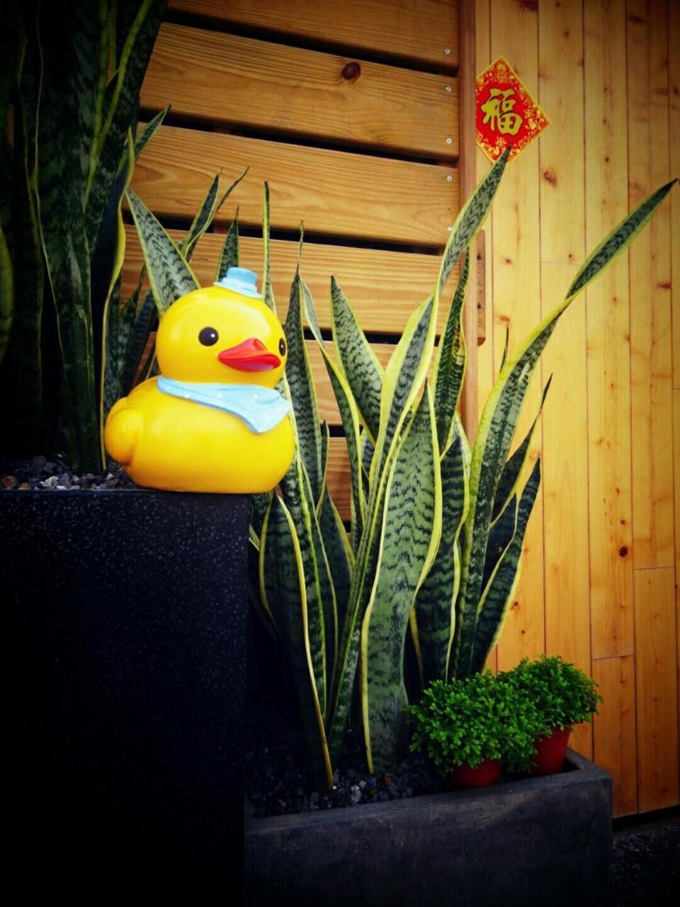 Yy Elleys Home Ťiao-si Exteriér fotografie